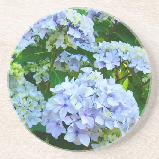 アジサイの花 さんどすとーん コースター (正面)