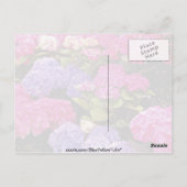 アジサイの花 ポストカード (裏面)