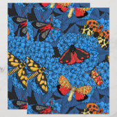 アジサイの蛾 (正面/裏面)