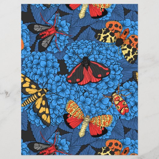 アジサイの蛾 (正面)