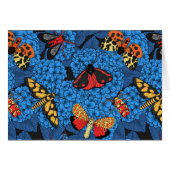 アジサイの蛾 (正面横)