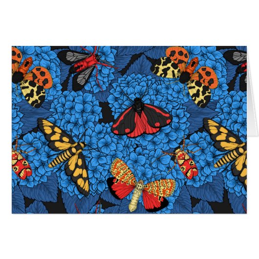 アジサイの蛾 (正面横)