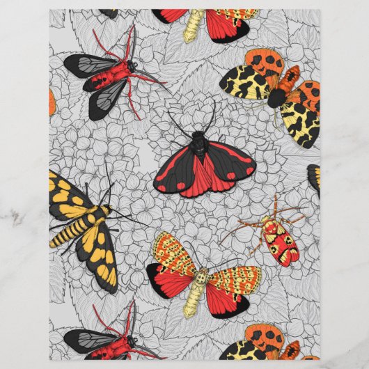 アジサイの蛾 (裏面)