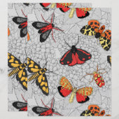 アジサイの蛾 (正面/裏面)