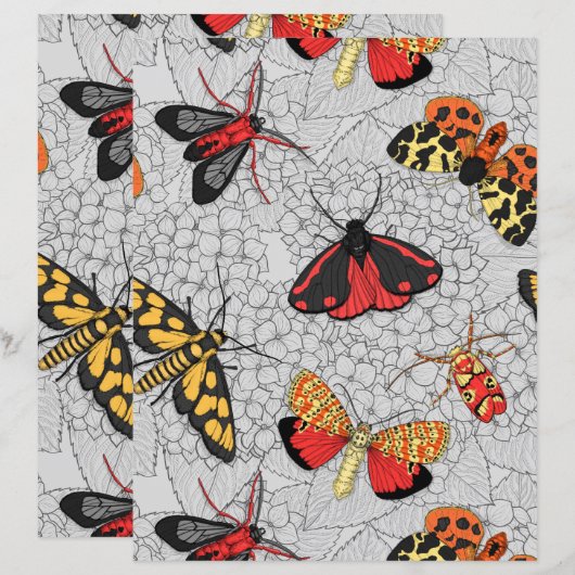 アジサイの蛾 (正面/裏面)