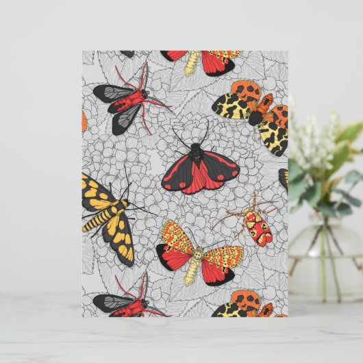 アジサイの蛾 (スタンド正面)