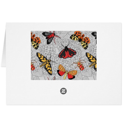 アジサイの蛾 (裏面横)