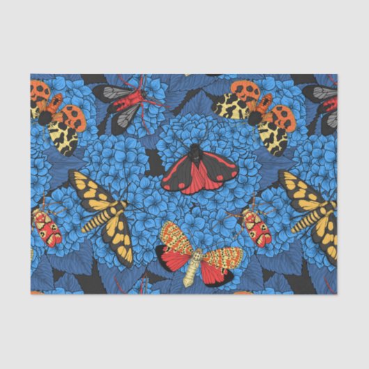 アジサイの蛾 薄葉紙 (正面)