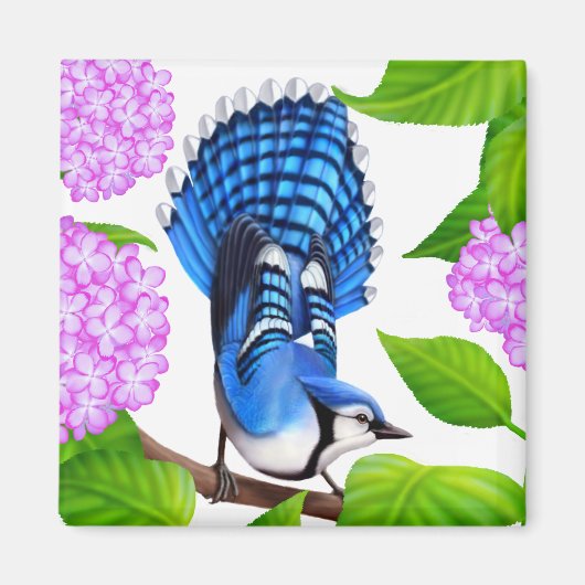 アジサイの青いカケス鳥マグネット マグネット (正面)