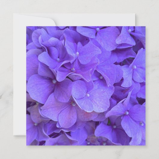 アジサイエレガントズラベンダーパープルブライダルシャワーI 招待状 (裏面)