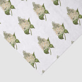 アジサイティッシュペーパー 薄葉紙 (詳細)