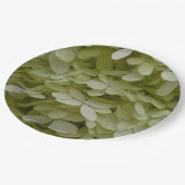 アジサイフローラセラドングリーン ペーパープレート (アングル)