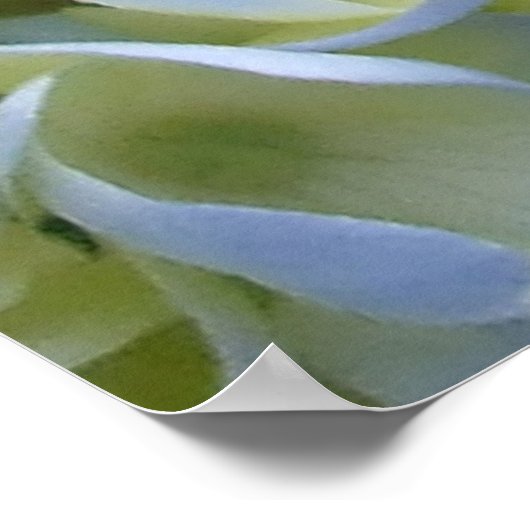 アジサイプリント ポスター (角)