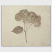 アジサイヴィンテージアンティークセピア素朴フローラ ラッピングペーパー (フラット)