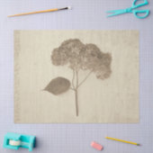 アジサイヴィンテージアンティークセピア素朴フローラ 薄葉紙 (クラフト)