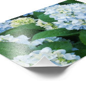 アジサイ写真プリント フォトプリント            (角)