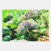 アジサイ包装紙 ラッピングペーパーシート (正面)