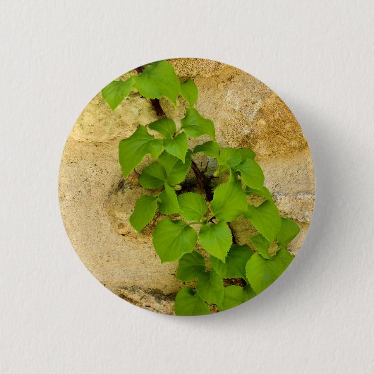 アジサイ柄バッジ 缶バッジ (正面)