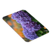 アジサイ磁石 マグネット (右側)