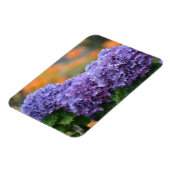 アジサイ磁石 マグネット (左側)