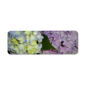 アジサイ紫の青 ラベル (正面)