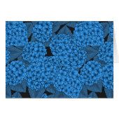 アジサイ (正面横)