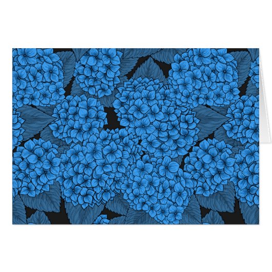 アジサイ (正面横)