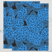 アジサイ (正面/裏面)