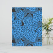 アジサイ (スタンド正面)