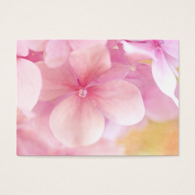 アジサイ (正面)