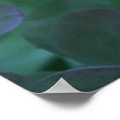 アジサイ1 ポスター (角)