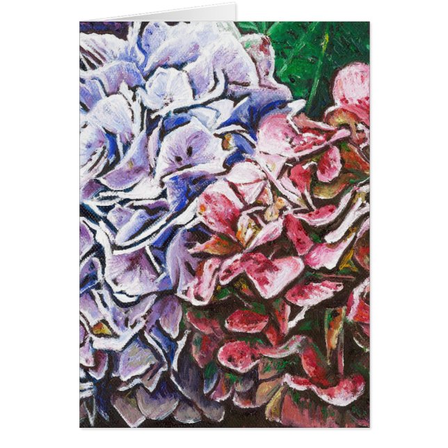 アジサイ2010年 (正面)