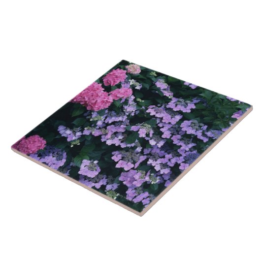 アジサイ3 タイル (側面)