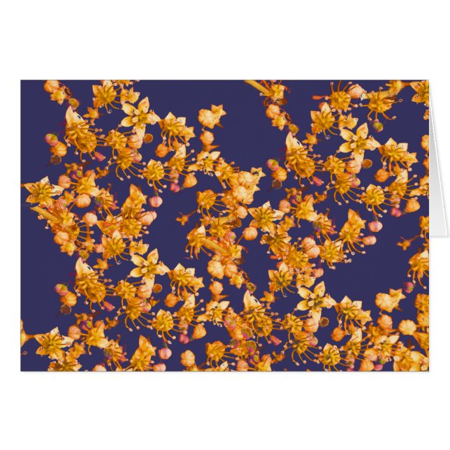 アジサイ・オレンジとネイビー (正面横)