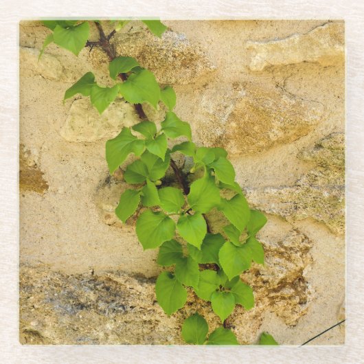 アジサイ ガラスコースター (正面)