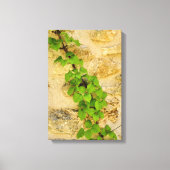 アジサイ キャンバスプリント (正面)