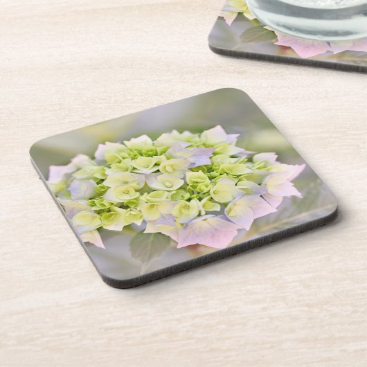 アジサイ コースター (左側)