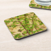 アジサイ コースター (左側)