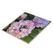 アジサイ タイル (側面)