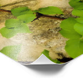 アジサイ フォトプリント            (角)