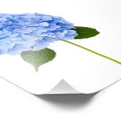 アジサイ フォトプリント            (角)