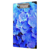 アジサイ・ブルース クリップボード (左)