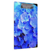 アジサイ・ブルース クリップボード (右)