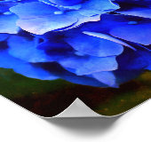 アジサイ・ブルース ポスター (角)