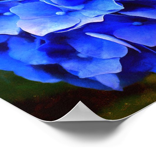 アジサイ・ブルース ポスター (角)