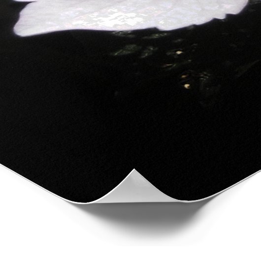 アジサイ ポスター (角)