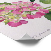 アジサイ ポスター (角)