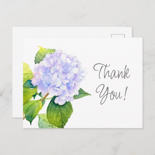 アジサイ ポストカード (正面/裏面)