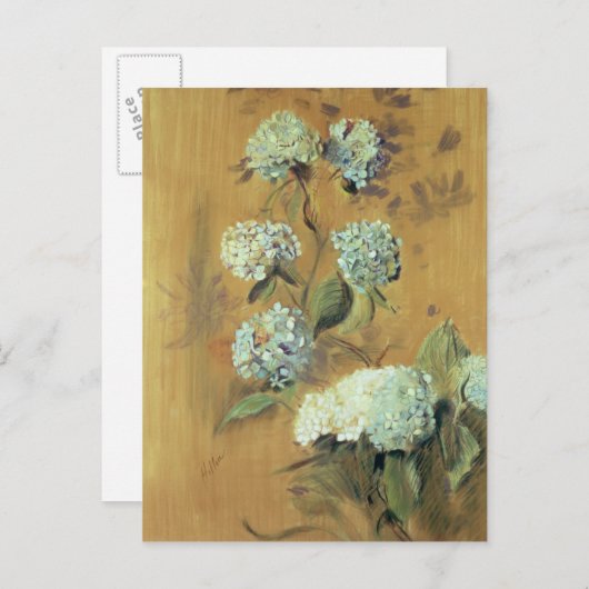 アジサイ ポストカード (正面/裏面)