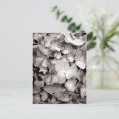 アジサイ ポストカード (スタンド正面)